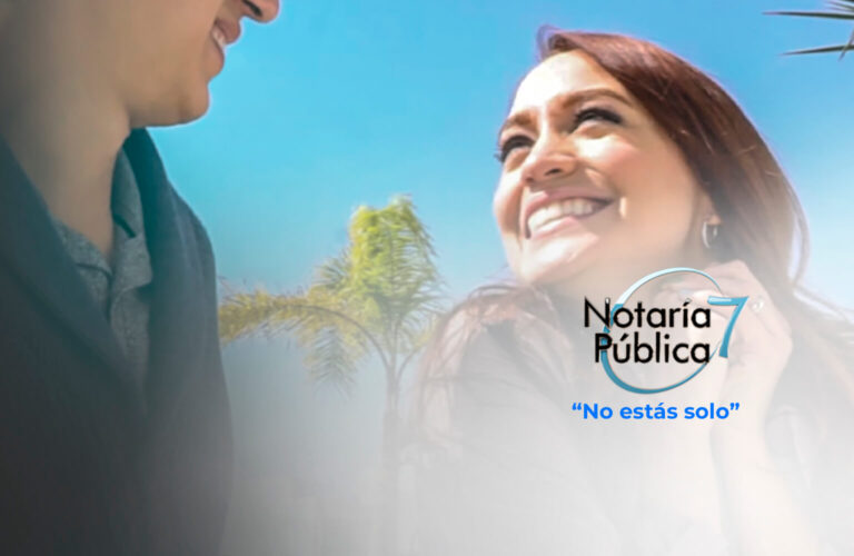 notaria 7